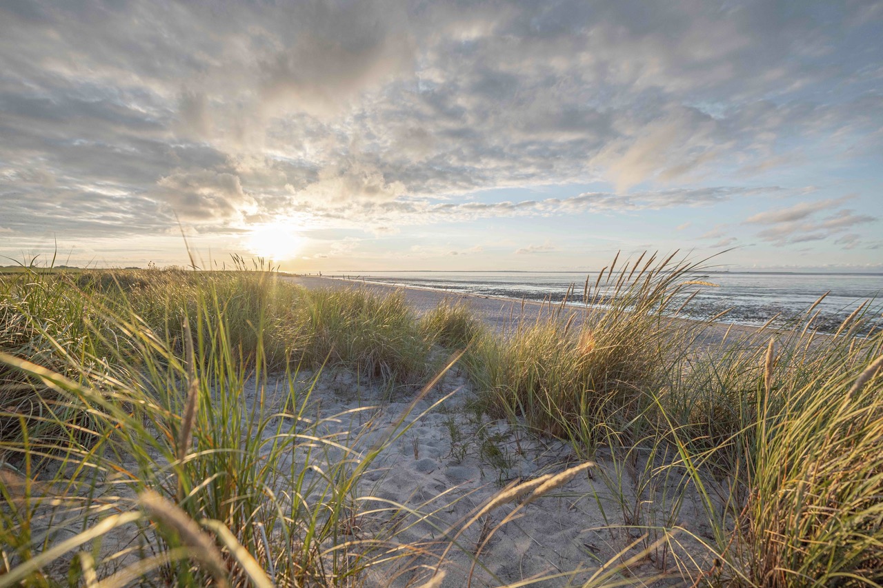 Dünen Schillig / Foto: Wangerland Touristik Dünen Schillig / Foto: Wangerland Touristik